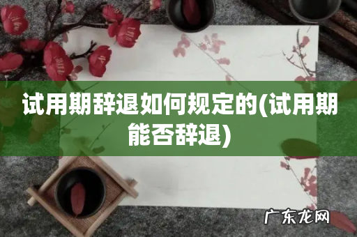 试用期能否辞退 试用期辞退如何规定的