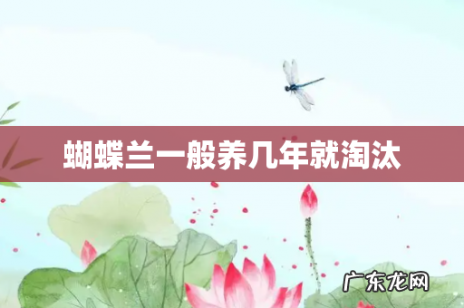 蝴蝶兰一般养几年就淘汰