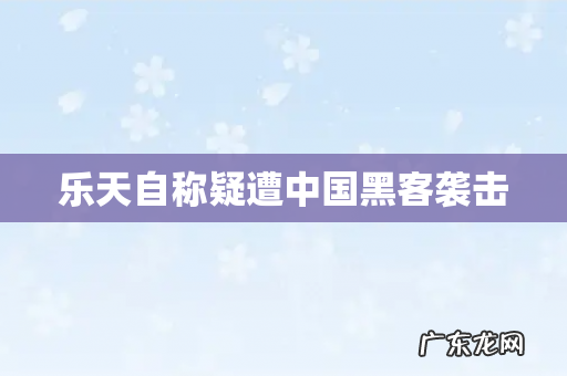 乐天自称疑遭中国黑客袭击