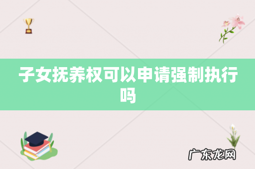 子女抚养权可以申请强制执行吗