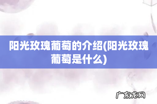 阳光玫瑰葡萄是什么 阳光玫瑰葡萄的介绍