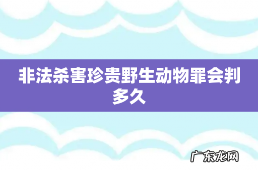 非法杀害珍贵野生动物罪会判多久
