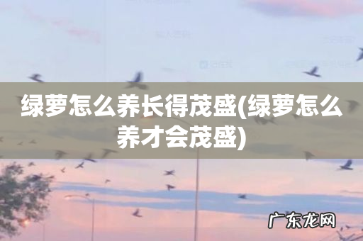 绿萝怎么养才会茂盛 绿萝怎么养长得茂盛