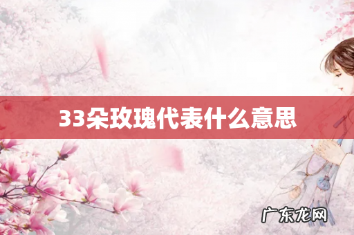 33朵玫瑰代表什么意思