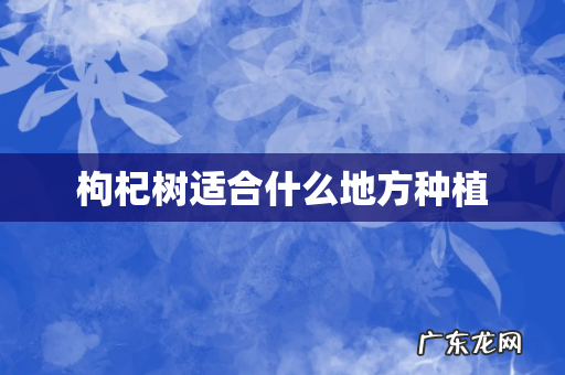 枸杞树适合什么地方种植