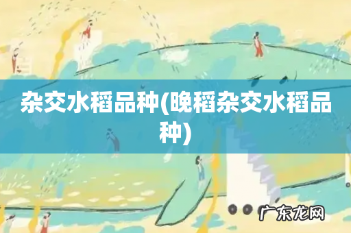 晚稻杂交水稻品种 杂交水稻品种