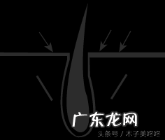 如何才可以永久脱毛 怎样能够永久脱毛