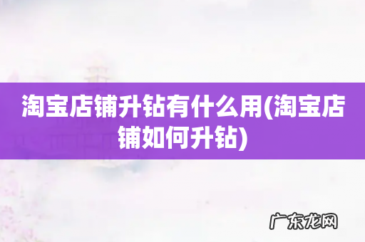 淘宝店铺如何升钻 淘宝店铺升钻有什么用
