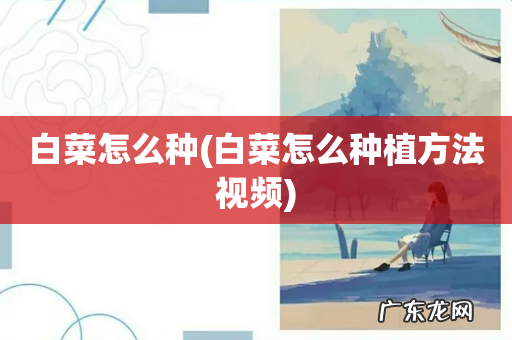 白菜怎么种植方法视频 白菜怎么种