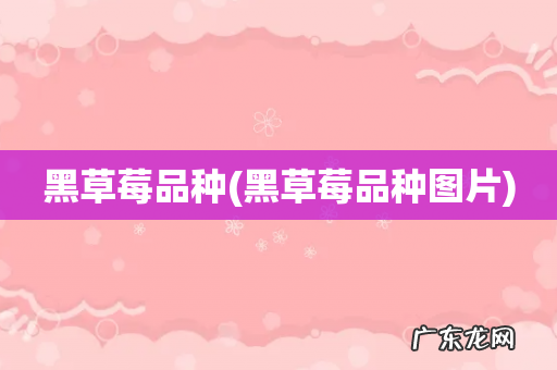 黑草莓品种图片 黑草莓品种