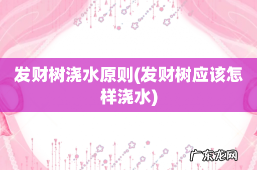 发财树应该怎样浇水 发财树浇水原则