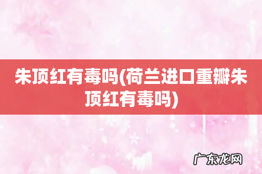 荷兰进口重瓣朱顶红有毒吗 朱顶红有毒吗