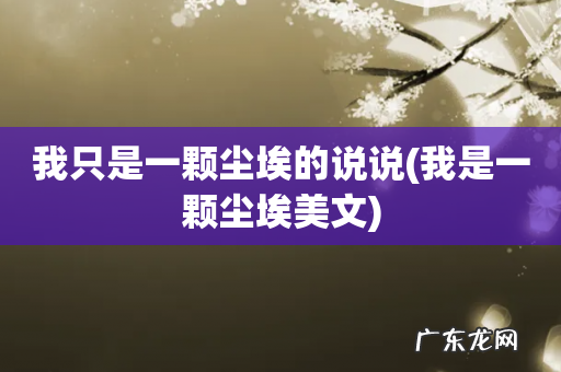 我是一颗尘埃美文 我只是一颗尘埃的说说