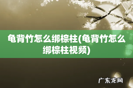 龟背竹怎么绑棕柱视频 龟背竹怎么绑棕柱