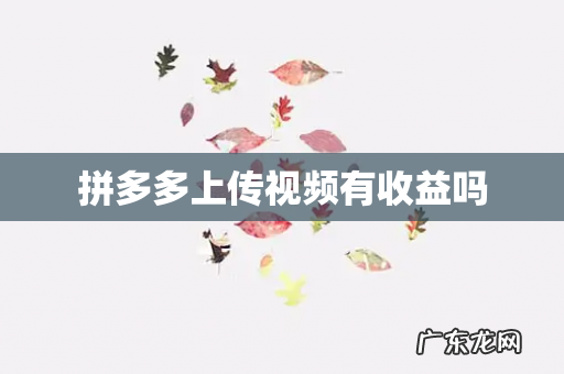 拼多多上传视频有收益吗