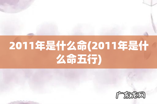 2011年是什么命五行 2011年是什么命
