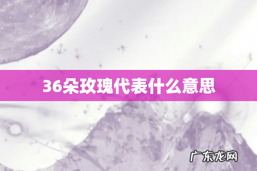 36朵玫瑰代表什么意思