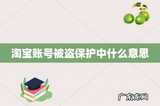 淘宝账号被盗保护中什么意思