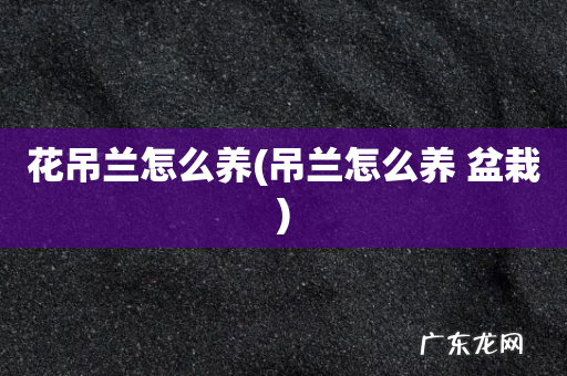 吊兰怎么养 盆栽 花吊兰怎么养