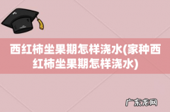 家种西红柿坐果期怎样浇水 西红柿坐果期怎样浇水