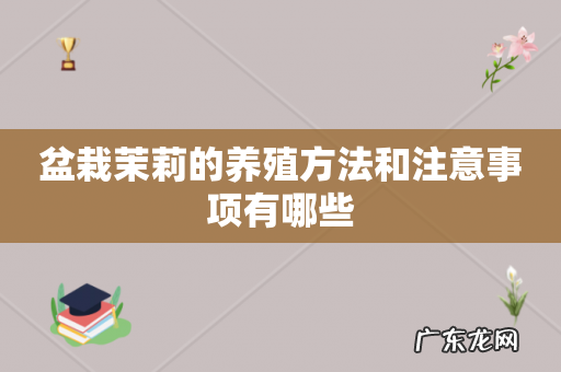 盆栽茉莉的养殖方法和注意事项有哪些