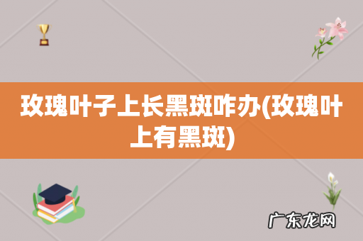 玫瑰叶上有黑斑 玫瑰叶子上长黑斑咋办