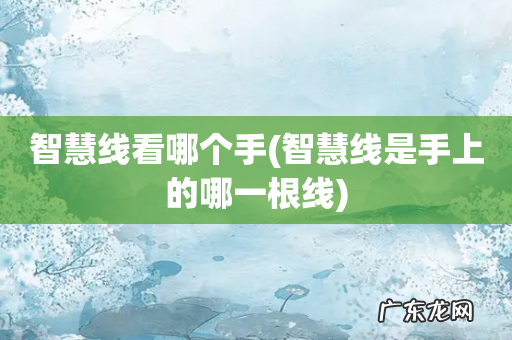 智慧线是手上的哪一根线 智慧线看哪个手