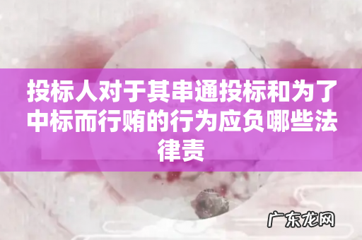 投标人对于其串通投标和为了中标而行贿的行为应负哪些法律责