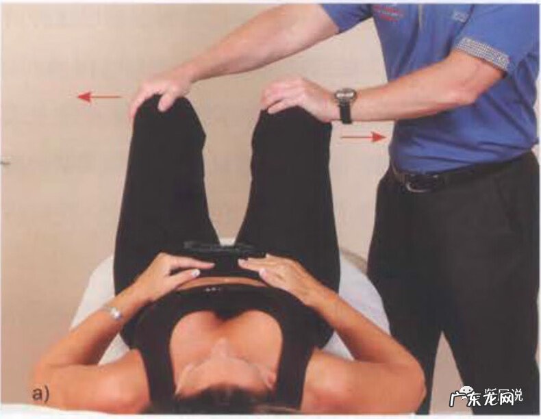 耻骨是在哪里 耻骨联合