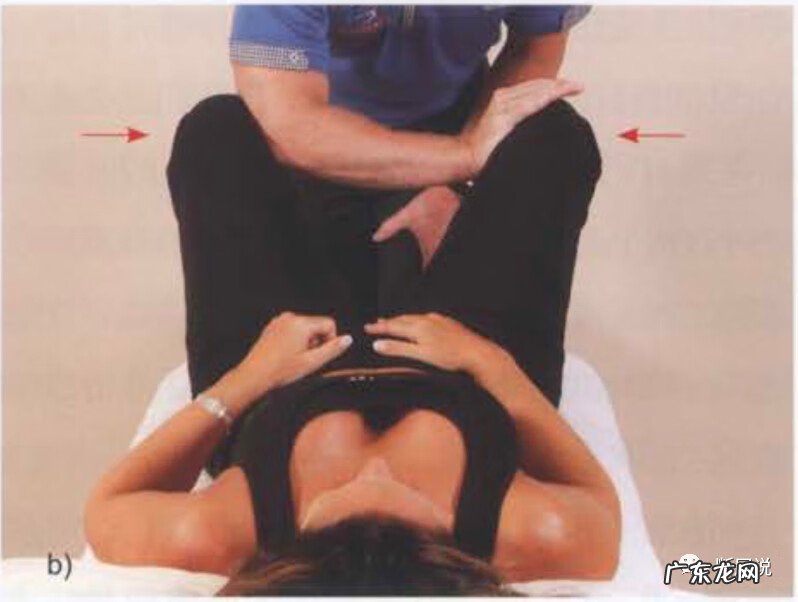 耻骨是在哪里 耻骨联合