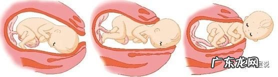 耻骨是在哪里 耻骨联合