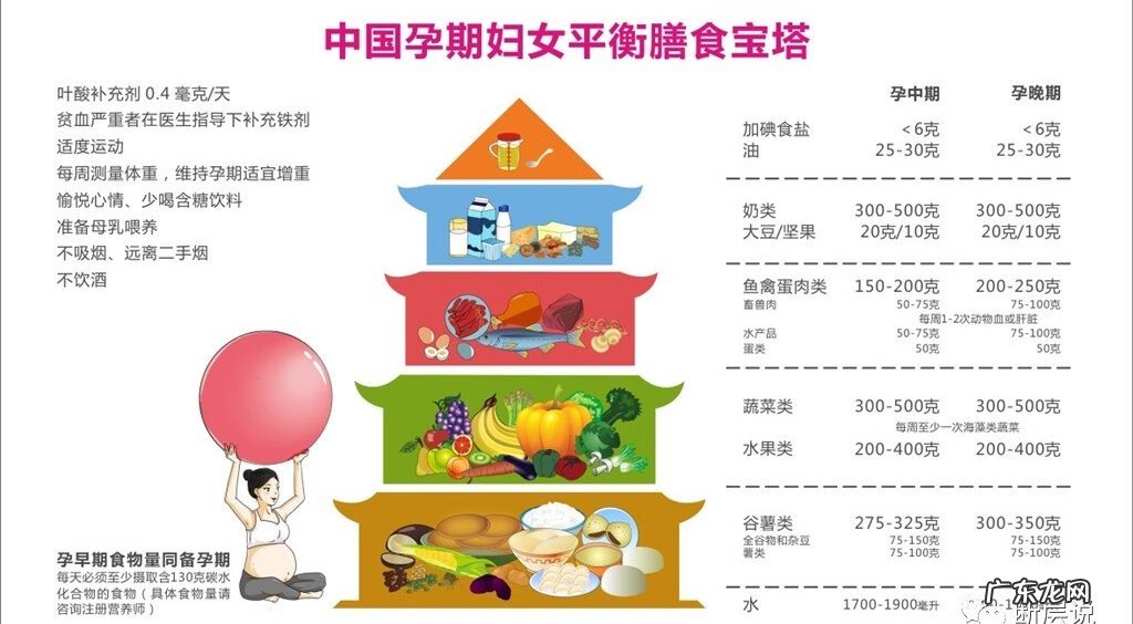 耻骨是在哪里 耻骨联合