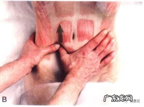 耻骨是在哪里 耻骨联合