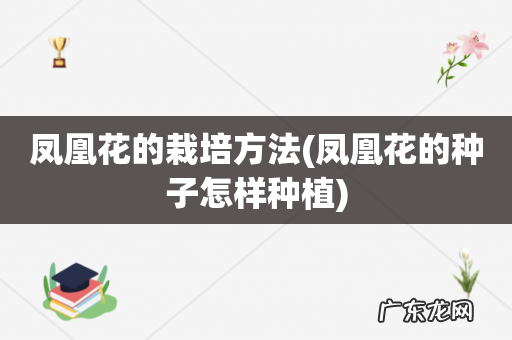 凤凰花的种子怎样种植 凤凰花的栽培方法