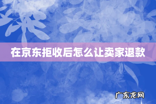 在京东拒收后怎么让卖家退款