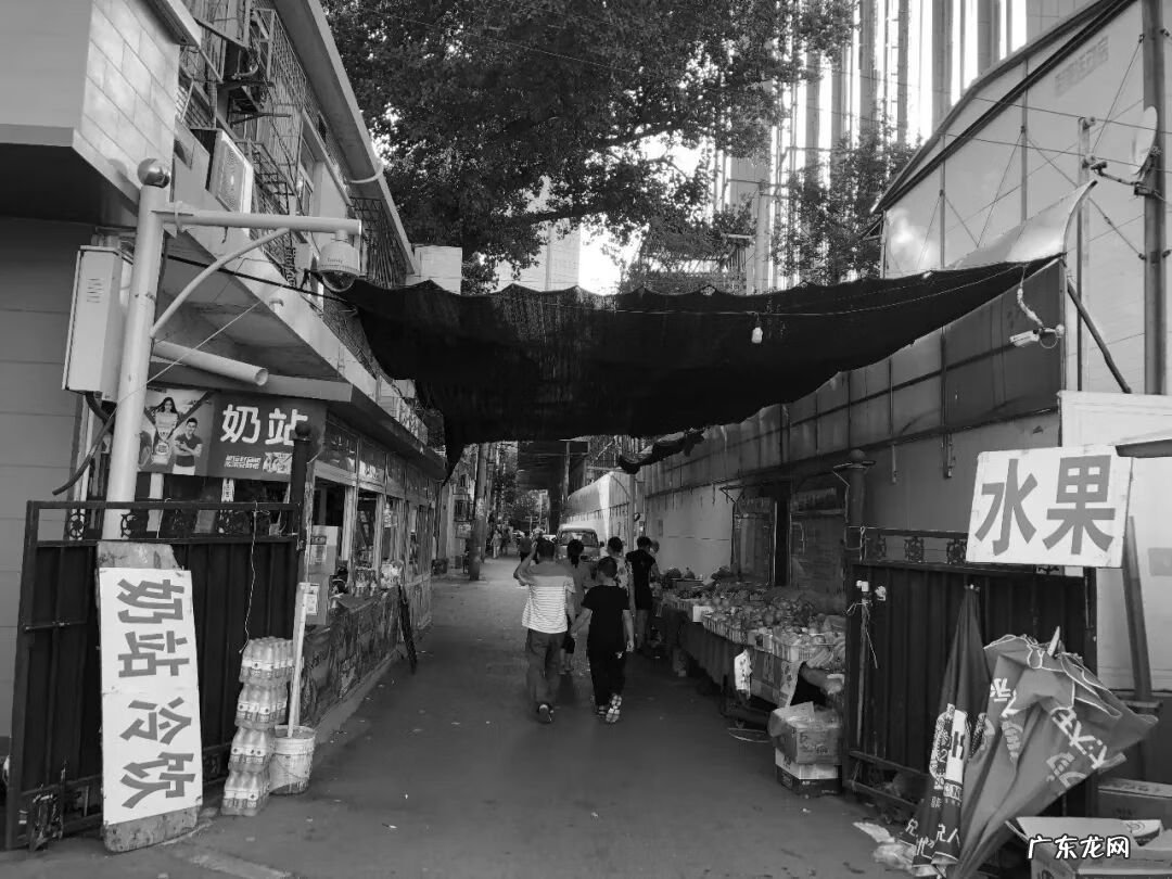 正宗天星派风水大师 天津和平印风水