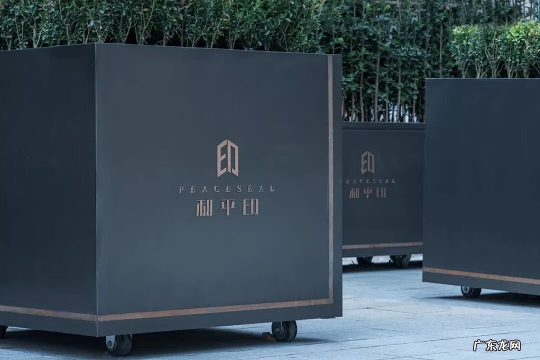 正宗天星派风水大师 天津和平印风水