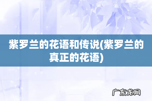 紫罗兰的真正的花语 紫罗兰的花语和传说