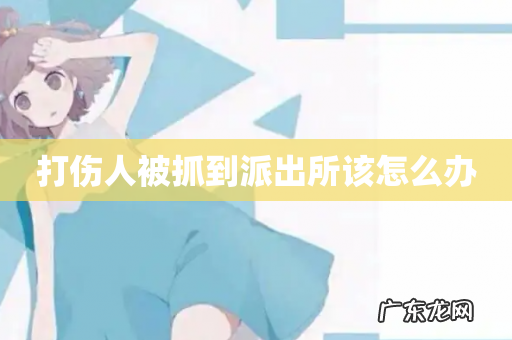 打伤人被抓到派出所该怎么办