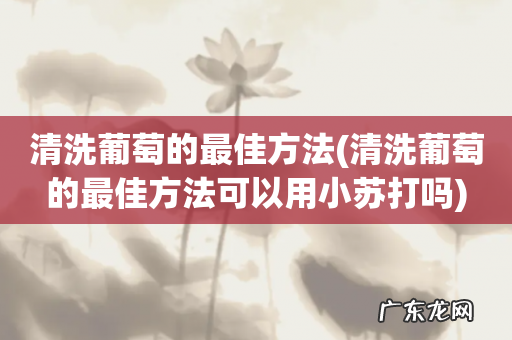 清洗葡萄的最佳方法可以用小苏打吗 清洗葡萄的最佳方法