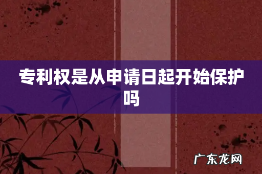 专利权是从申请日起开始保护吗
