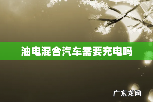 油电混合汽车需要充电吗