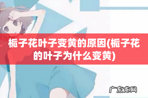 栀子花的叶子为什么变黄 栀子花叶子变黄的原因