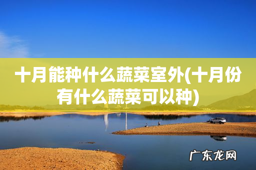 十月份有什么蔬菜可以种 十月能种什么蔬菜室外