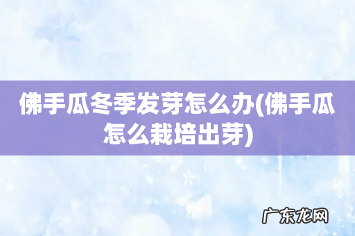 佛手瓜怎么栽培出芽 佛手瓜冬季发芽怎么办