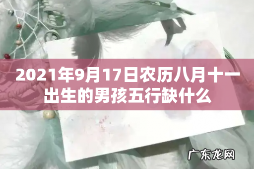 2021年9月17日农历八月十一出生的男孩五行缺什么