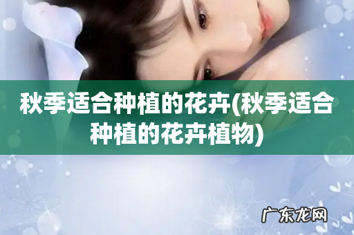 秋季适合种植的花卉植物 秋季适合种植的花卉
