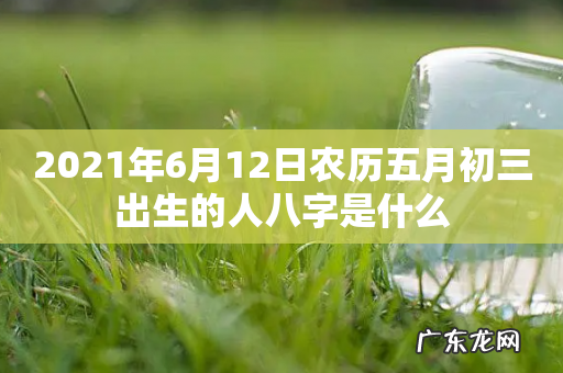 2021年6月12日农历五月初三出生的人八字是什么