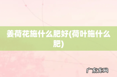 荷叶施什么肥 姜荷花施什么肥好