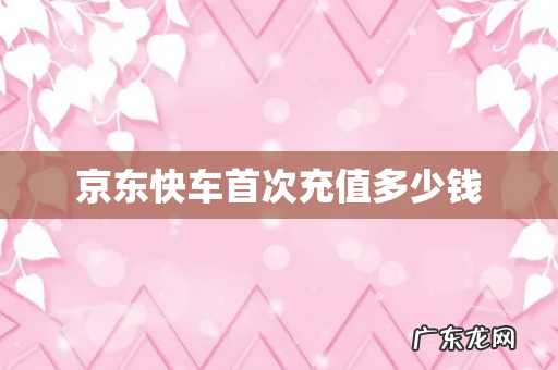 京东快车首次充值多少钱